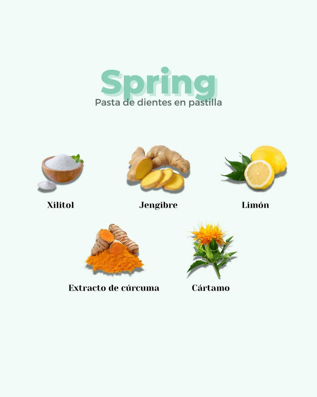 ECO SPRING Toothpaste Tablets Refill – Ginger & Lemon | 240 Tablets