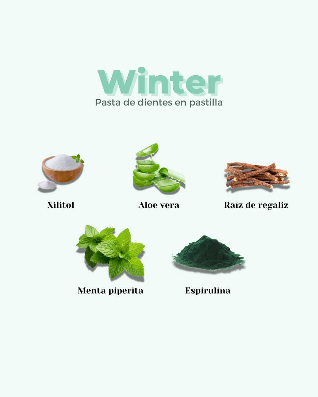 ECO WINTER Toothpaste Tablets Refill – Mint | 240 Tablets