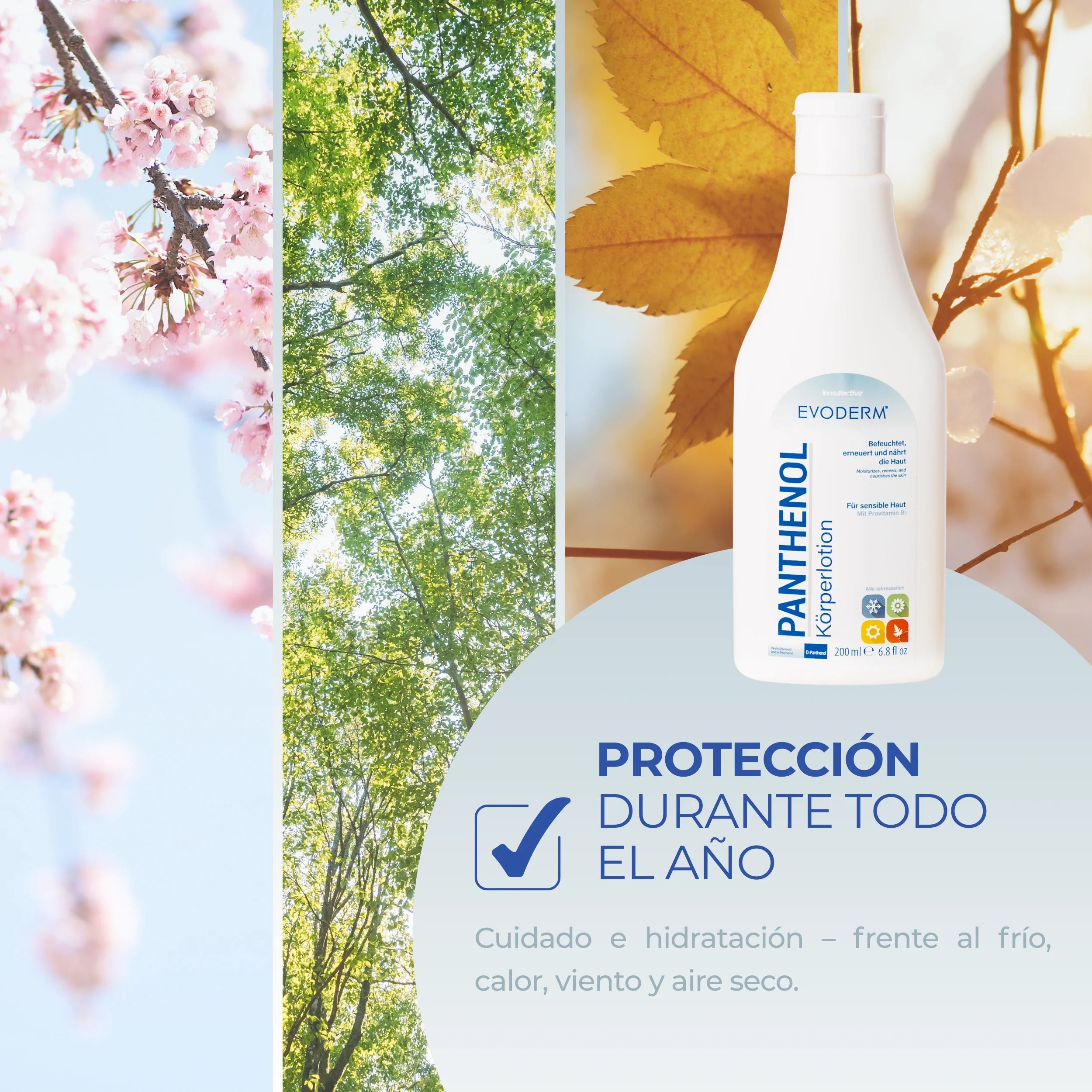 EVODERM Panthenol Loción Corporal 200ml — Hidratante para Piel Sensible con Provitamina B5
