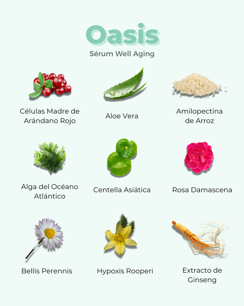 OASIS Well Aging ECO Facial Serum — Anti-Ageing Natural 30ml