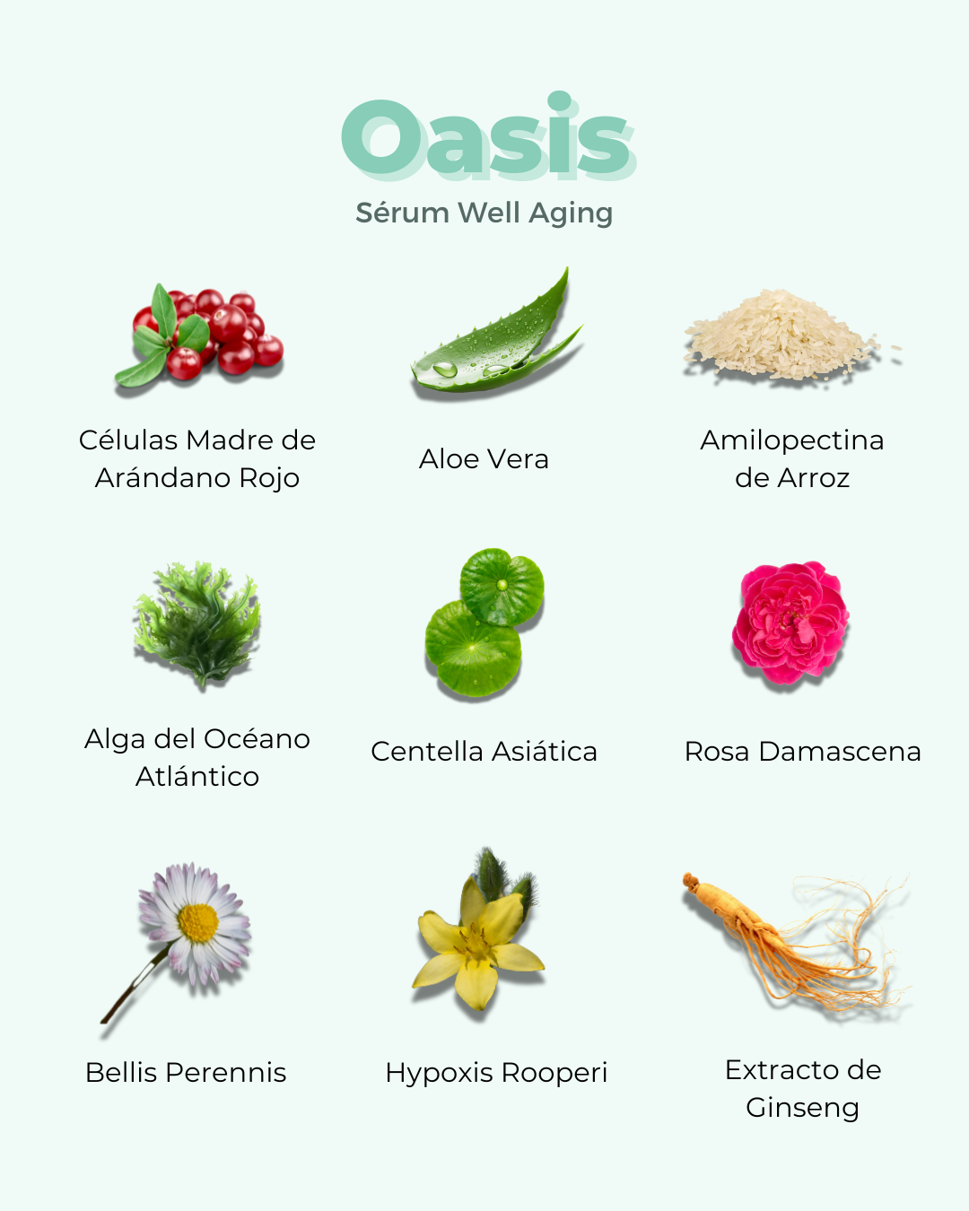 OASIS Well Aging ECO Facial Serum — Anti-Ageing Natural 30ml