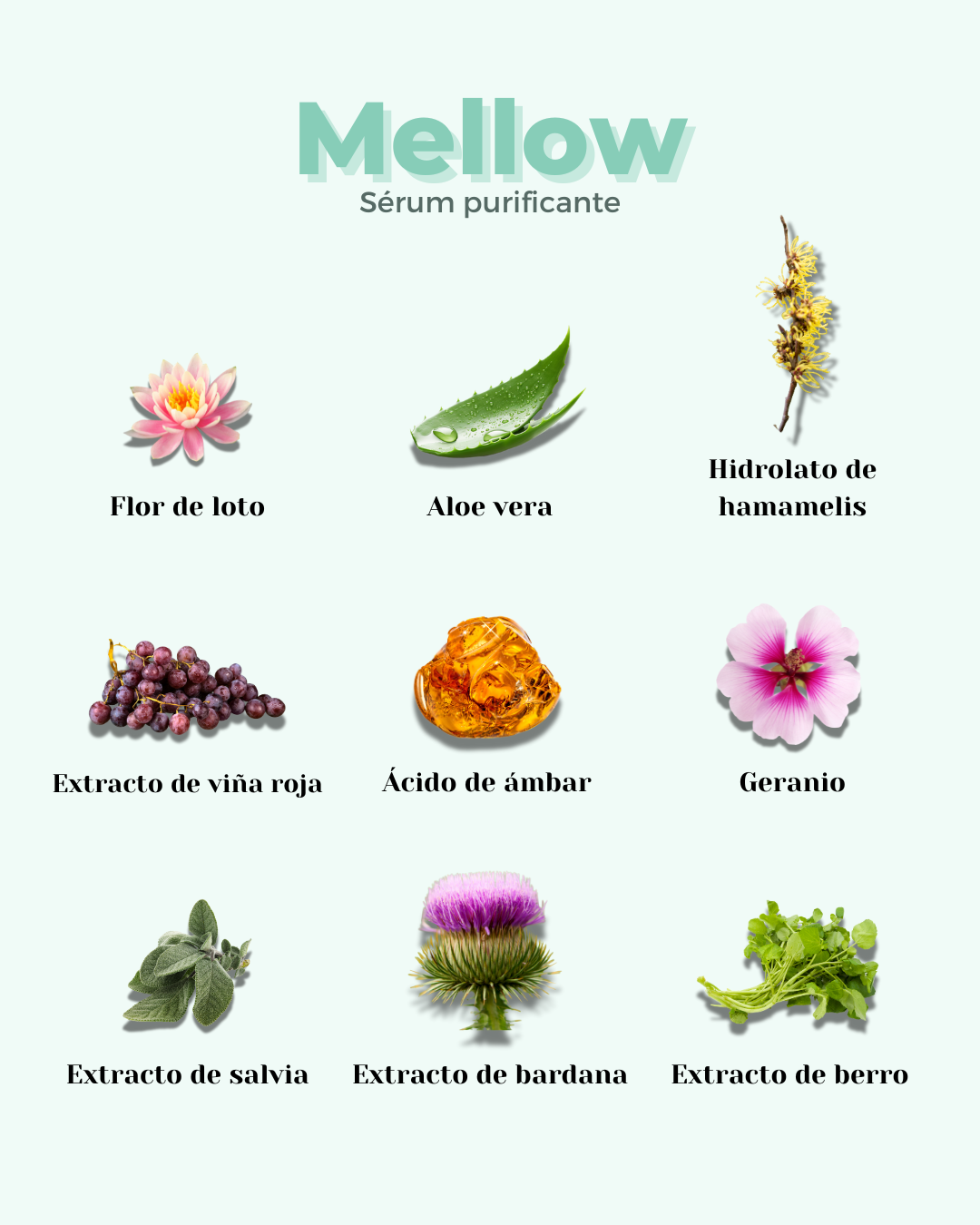 MELLOW ECO Purifying Facial Serum — Oily & Combination Skin 30ml