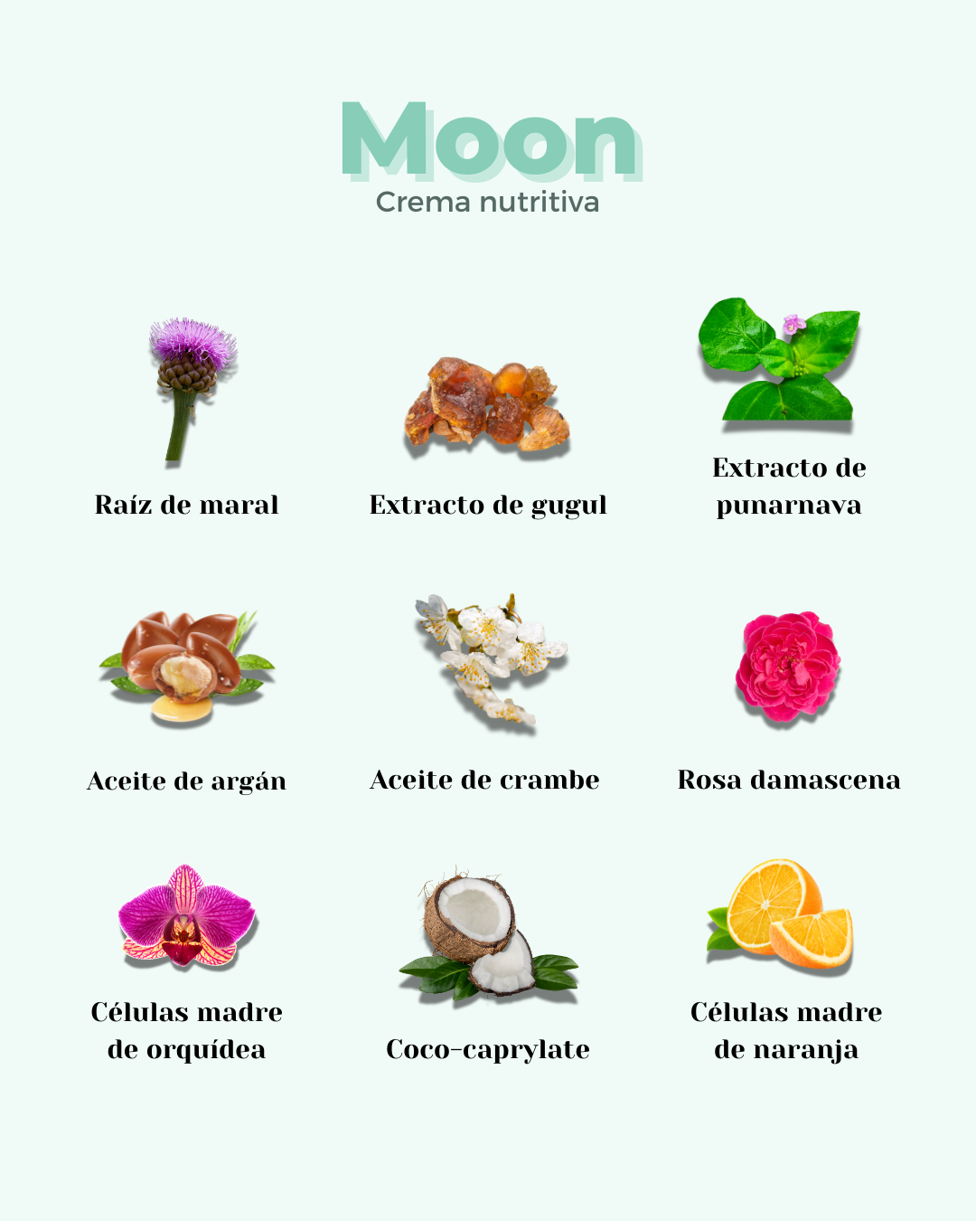 MOON Well Aging ECO Pflegende Gesichtscreme — Anti-Aging Trockene & Sensible Haut 50ml
