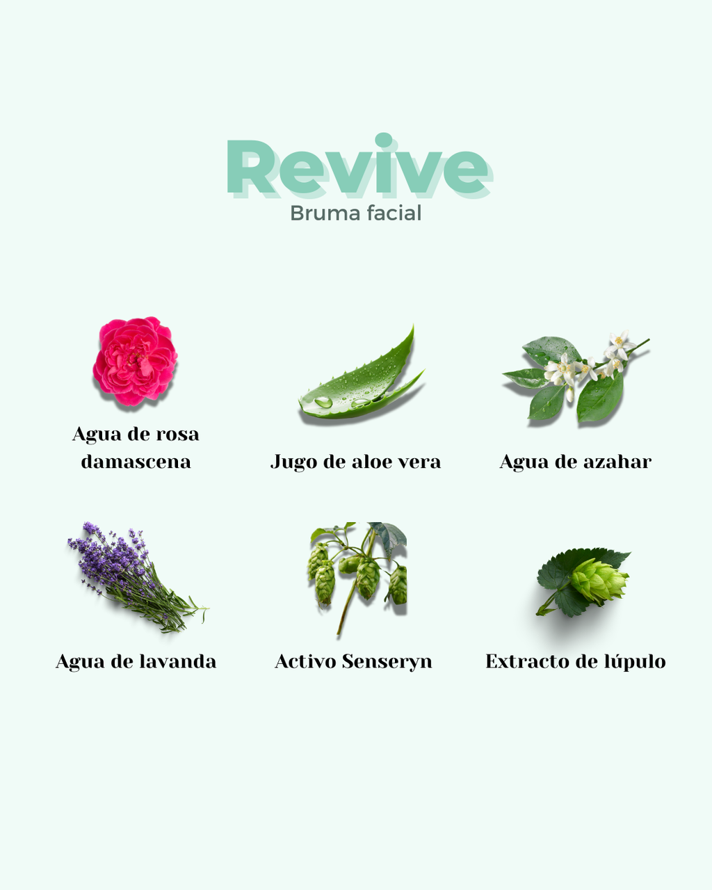 REVIVE ECO Gesichtswasser — Trockene & Empfindliche Haut 100ml