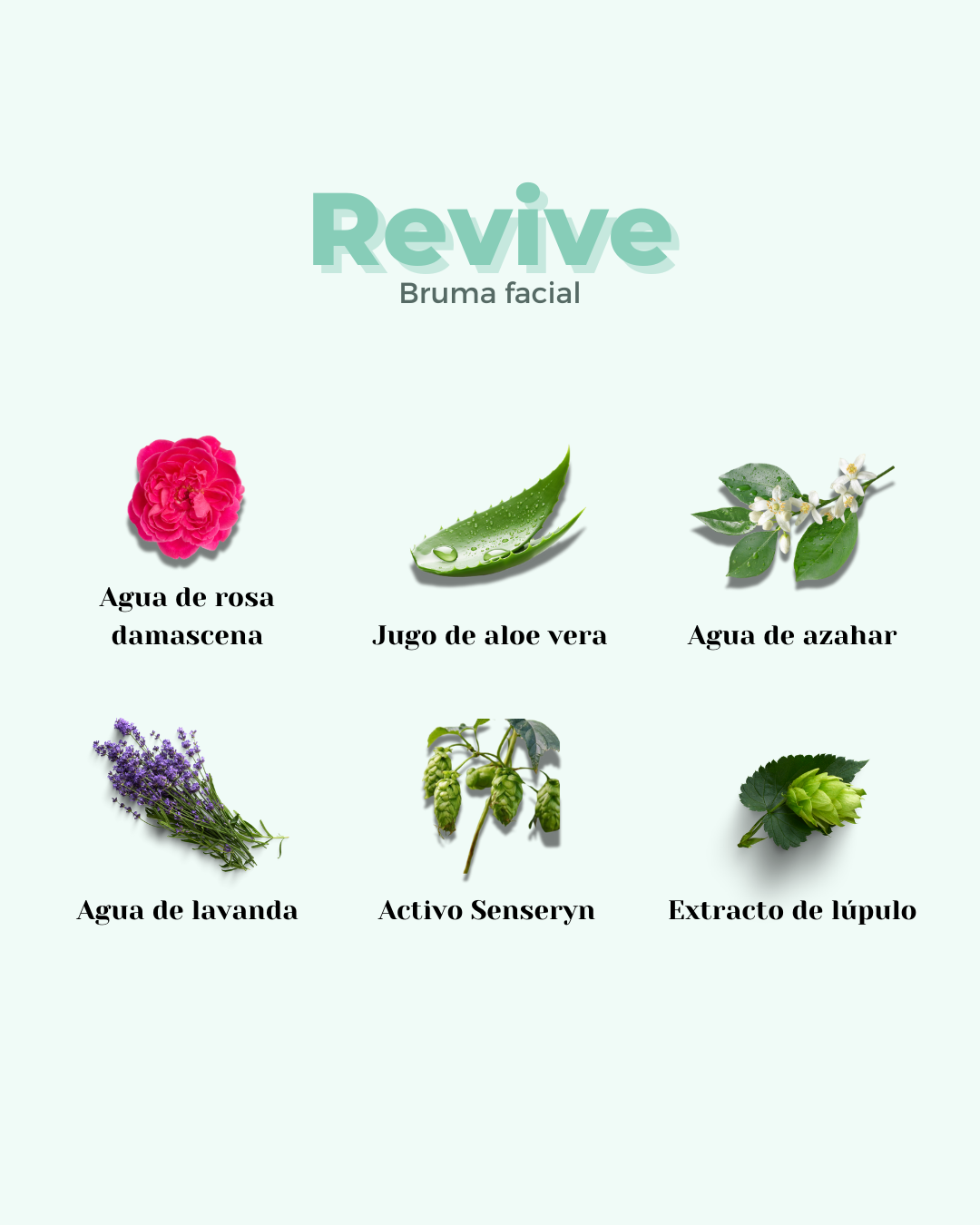 REVIVE ECO Gesichtswasser — Trockene & Empfindliche Haut 100ml
